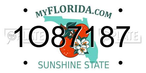 1O87187 Florida License Plate
