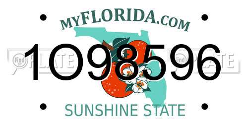 1O98596 Florida License Plate