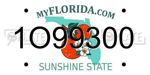1O99300 Florida License Plate