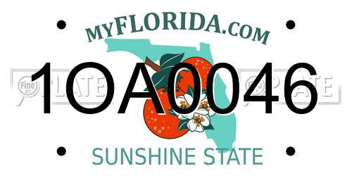 1OA0046 Florida License Plate