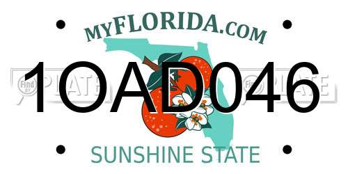 1OAD046 Florida License Plate