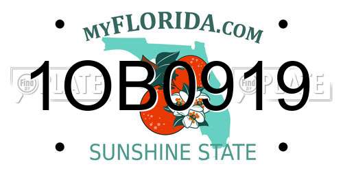 1OB0919 Florida License Plate