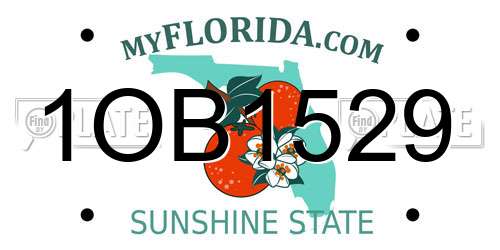 1OB1529 Florida License Plate