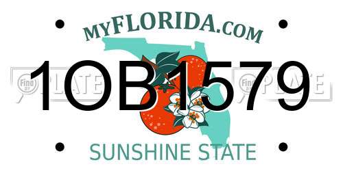 1OB1579 Florida License Plate