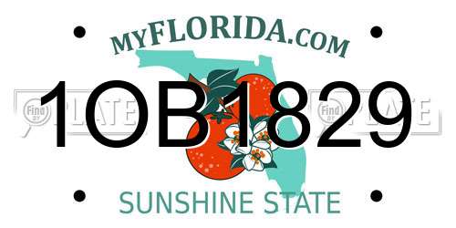 1OB1829 Florida License Plate