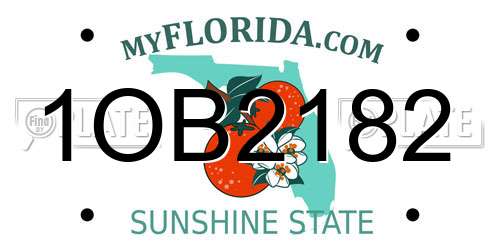 1OB2182 Florida License Plate