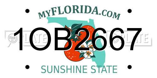 1OB2667 Florida License Plate