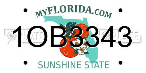 1OB3343 Florida License Plate