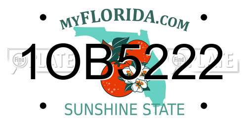 1OB5222 Florida License Plate