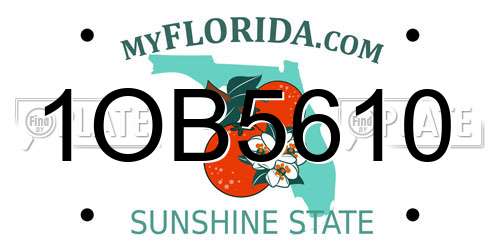 1OB5610 Florida License Plate
