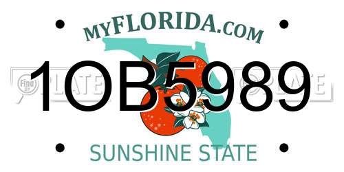 1OB5989 Florida License Plate