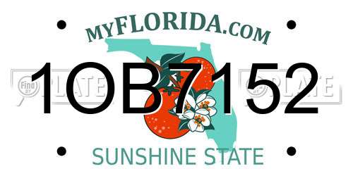 1OB7152 Florida License Plate
