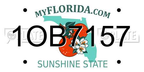 1OB7157 Florida License Plate