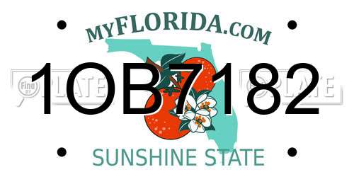 1OB7182 Florida License Plate