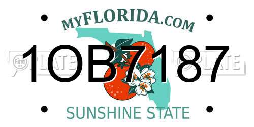 1OB7187 Florida License Plate