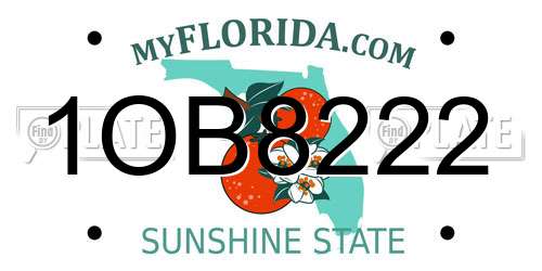 1OB8222 Florida License Plate