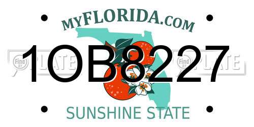 1OB8227 Florida License Plate