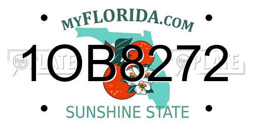 1OB8272 Florida License Plate
