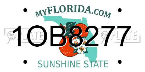 1OB8277 Florida License Plate