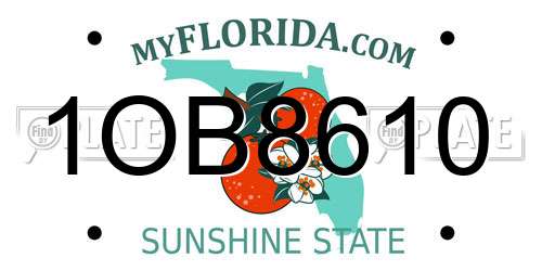 1OB8610 Florida License Plate