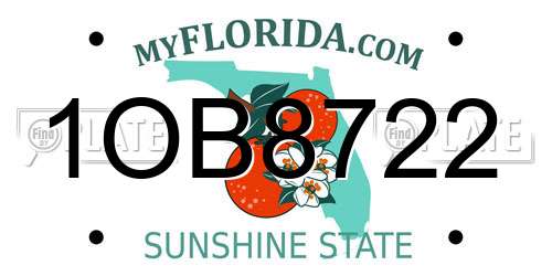 1OB8722 Florida License Plate