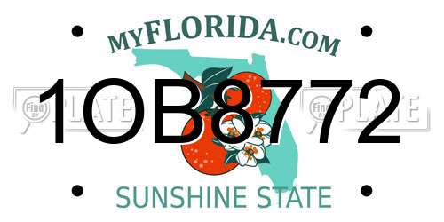1OB8772 Florida License Plate