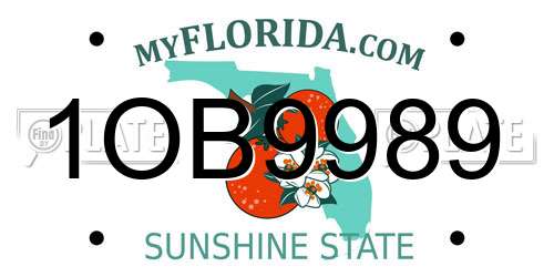 1OB9989 Florida License Plate