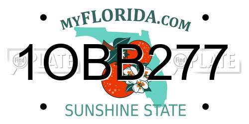 1OBB277 Florida License Plate