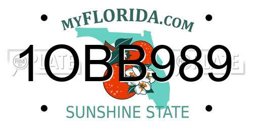 1OBB989 Florida License Plate