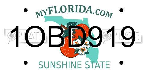 1OBD919 Florida License Plate