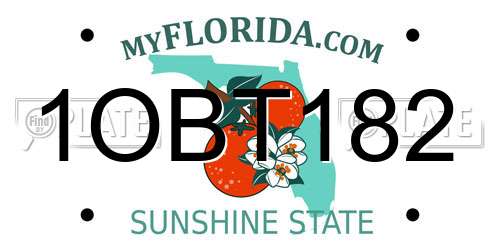 1OBT182 Florida License Plate