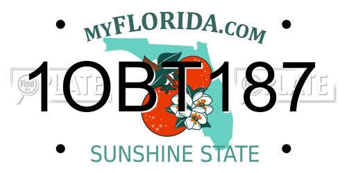1OBT187 Florida License Plate