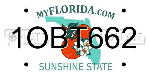 1OBT662 Florida License Plate