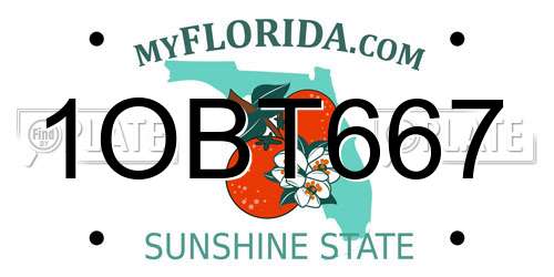 1OBT667 Florida License Plate