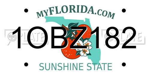 1OBZ182 Florida License Plate
