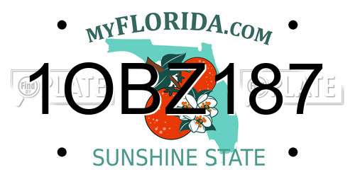 1OBZ187 Florida License Plate