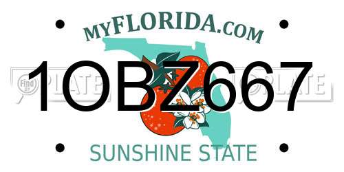 1OBZ667 Florida License Plate