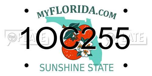 1OC255 Florida License Plate