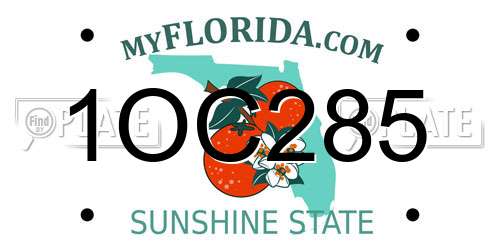 1OC285 Florida License Plate