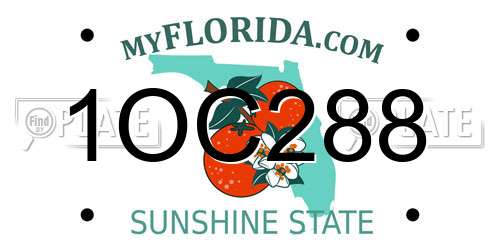 1OC288 Florida License Plate