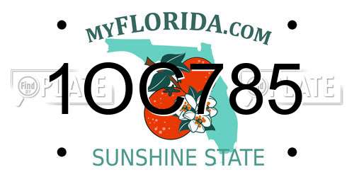 1OC785 Florida License Plate