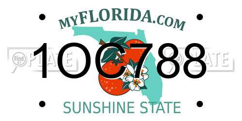 1OC788 Florida License Plate