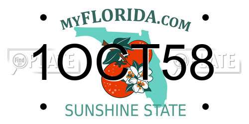 1OCT58 Florida License Plate