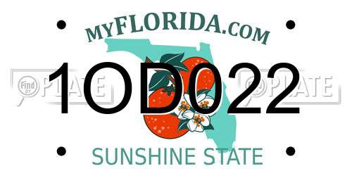 1OD022 Florida License Plate