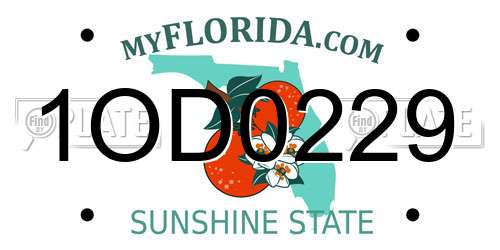 1OD0229 Florida License Plate