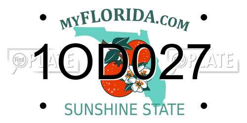1OD027 Florida License Plate