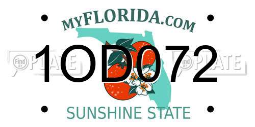 1OD072 Florida License Plate