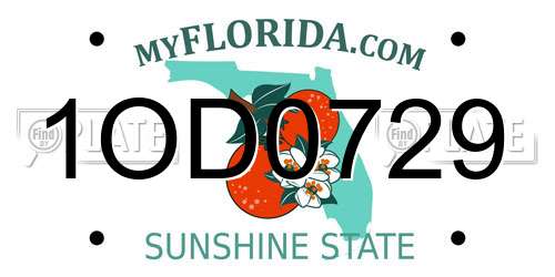 1OD0729 Florida License Plate