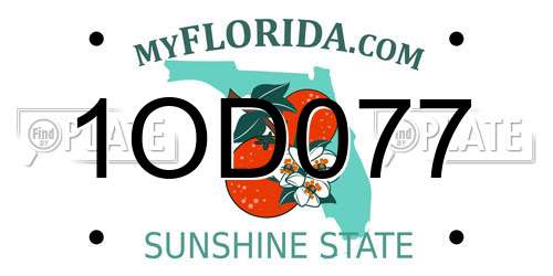 1OD077 Florida License Plate