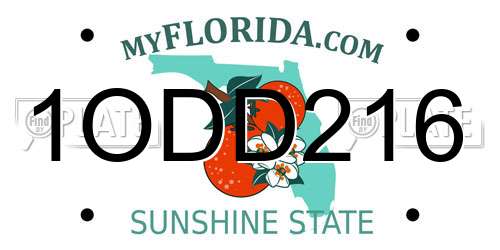 1ODD216 Florida License Plate
